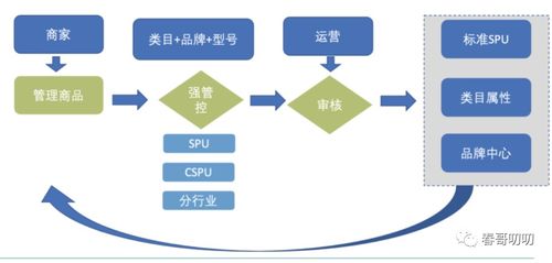 電商系統(tǒng)中商品模型與類目體系設計與信息系統(tǒng)集成服務